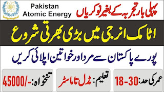 Pakistan Atomic Energy PAEC Jobs 2023 - Online Apply via 202.83.172.179