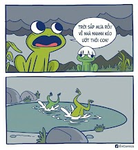 Logic trú mưa của ếch
