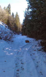 Mineral Fork Trail