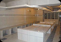 sauna2