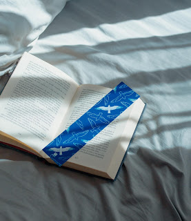 Books In Bed