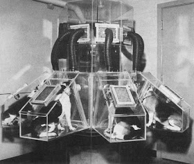 Beagle Dogs - Radioactive - Plutonium Dioxide - 01