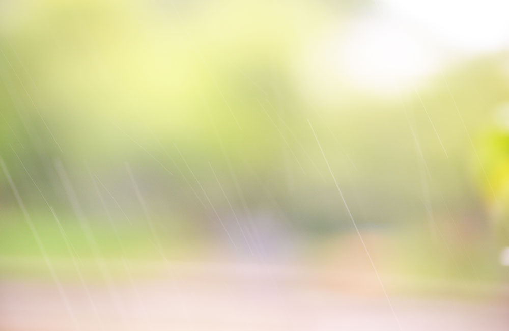 梅雨の通り雨の写真