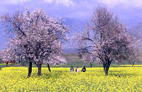 People of Kashmir