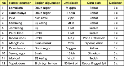  LENGKAP DAFTAR TANAMAN OBAT INDONESIA Khasiatnya 