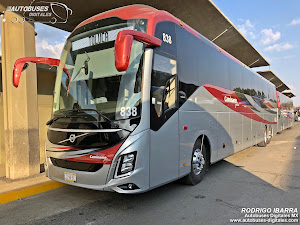 Turismos y Autobuses México Toluca Triángulo Flecha: Caminante Plus. Volvo 9800