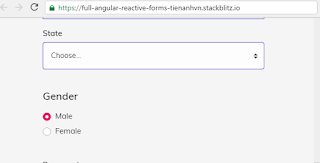 Select DropDown in Reactive Forms with Angular 7|8|9