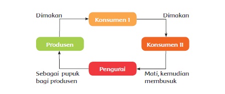  Materi dan Kunci Jawaban Tematik Kelas  Materi dan Kunci Jawaban Tematik Kelas 5 Tema 5 Subtema 2 Halaman 56, 58, 59