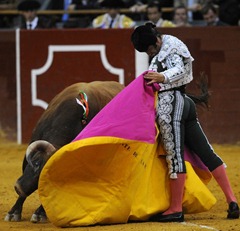 Morante_Viard_11