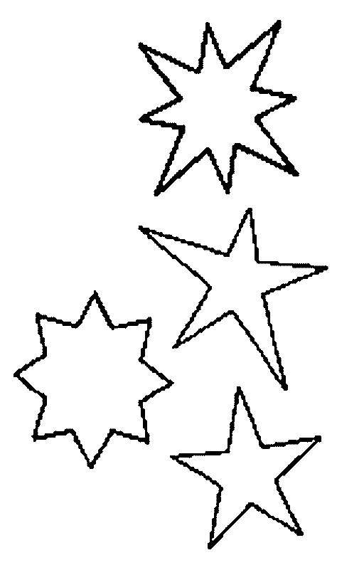 estrella de mar. Estrella de mar