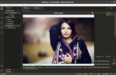 Resized Image in OpenCV Python