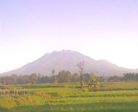 Situs Siwa Lingga Gumuk Payung Di Gunung Raung: Situs Siwa 