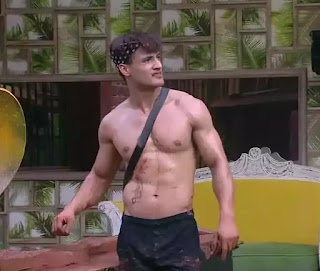 Asim Riaz Bigg Boss 13