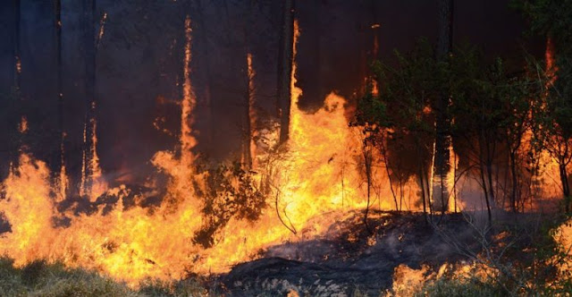 Maranhão ocupa o 3° lugar no ranking de queimadas