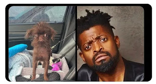 Basketmouth blows hot after being compared with a Dog