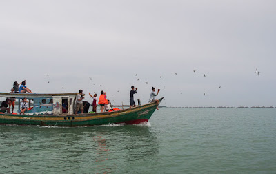 PENGINAPAN MURAH TANJUNG LESUNG BANTEN