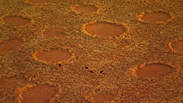 Fairy cicles in Namib Desert in Namibia