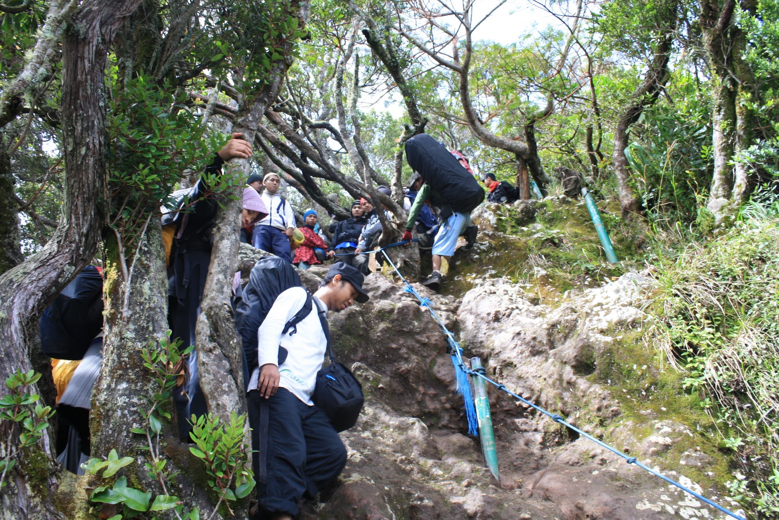 My Adventure: Gunung Gede - The Picture