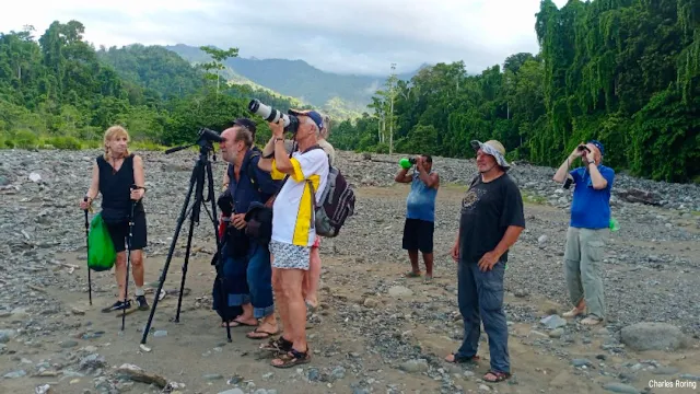 birding in tambrauw regency