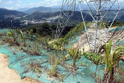 High tension: The TNB pylon on the ridge of Gunung Jasar, Cameron Highlands has caused landslides on the steep terrain.