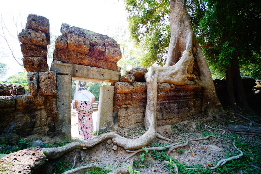 Ta Phrom temple, ancient Angkor