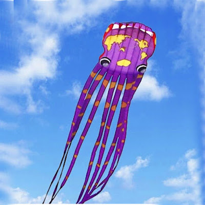 Amazing Kites Images
