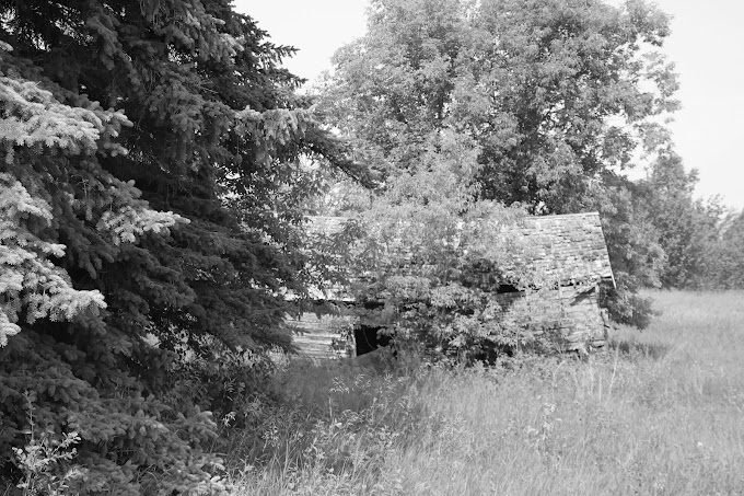 Mom's Farm Site at Renwer, Manitoba