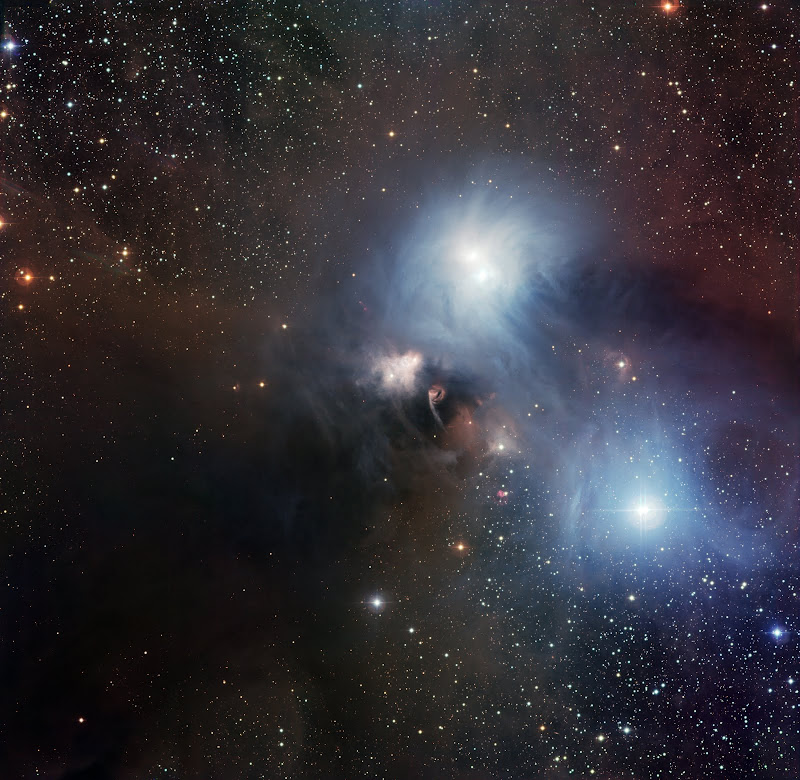 The nearby star-forming region around the star R Coronae Australis