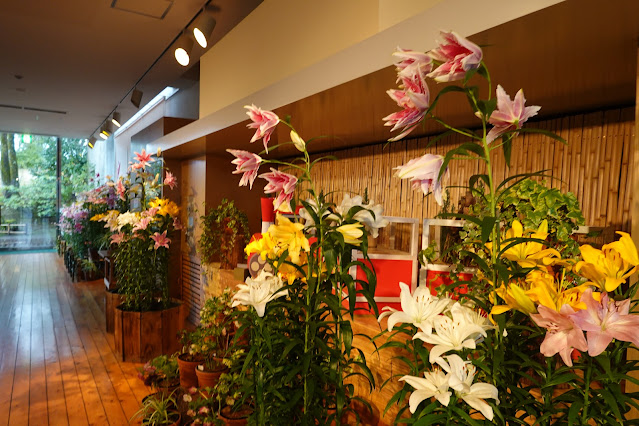 鳥取県西伯郡南部町鶴田 とっとり花回廊 ゆりの館