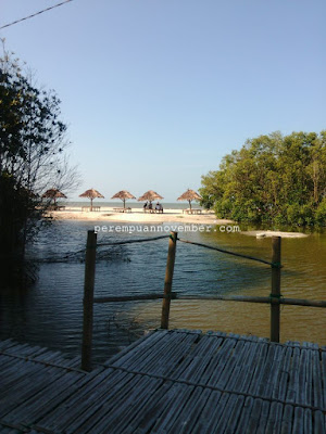 wisata pantai mangrove