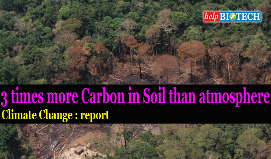 3 times more Carbon in Soil than Atmosphere - Climate Change : Report 