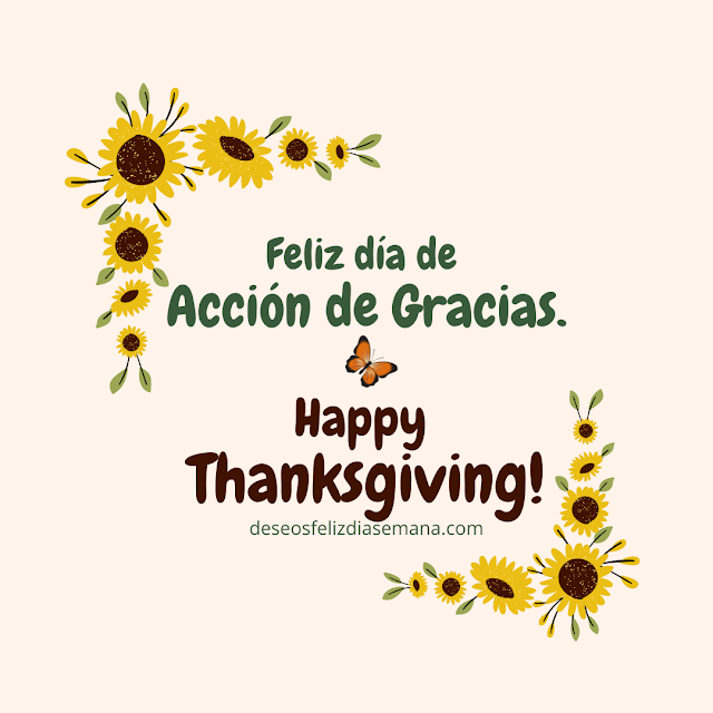 imagen de feliz dia de Acción de Gracias, happy thanksgiving day