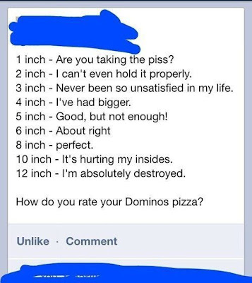 rating dominos pizza