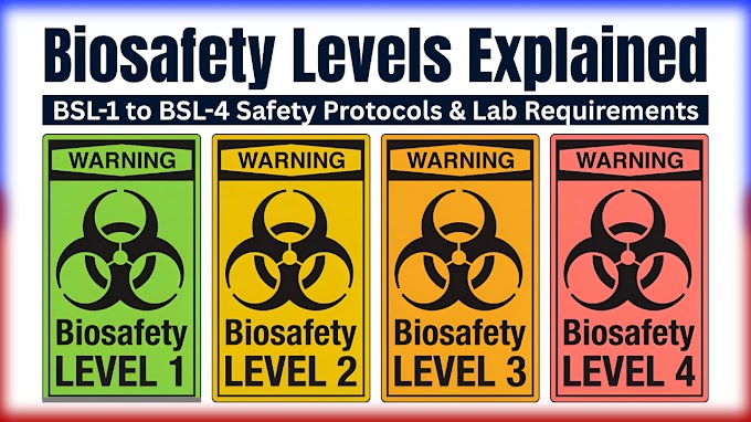 Biosafety Levels: A Complete Guide from BSL-1 to BSL-4 | Safety Protocols & Lab Requirements