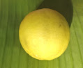 Single Lemon