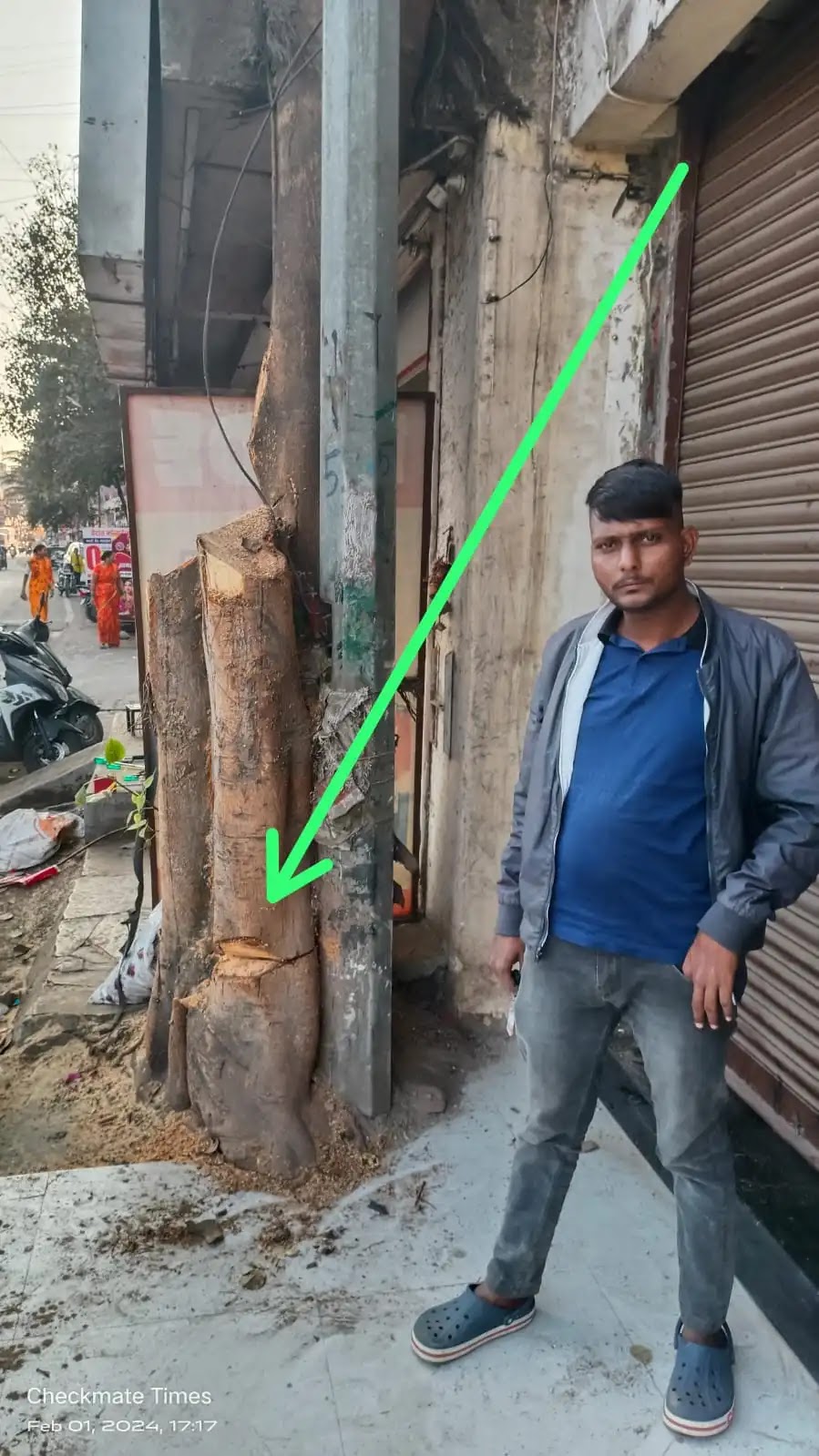 Slaughter of Pipal Tree by root with permission to cut branches?; Enrages Tree Lovers in warje