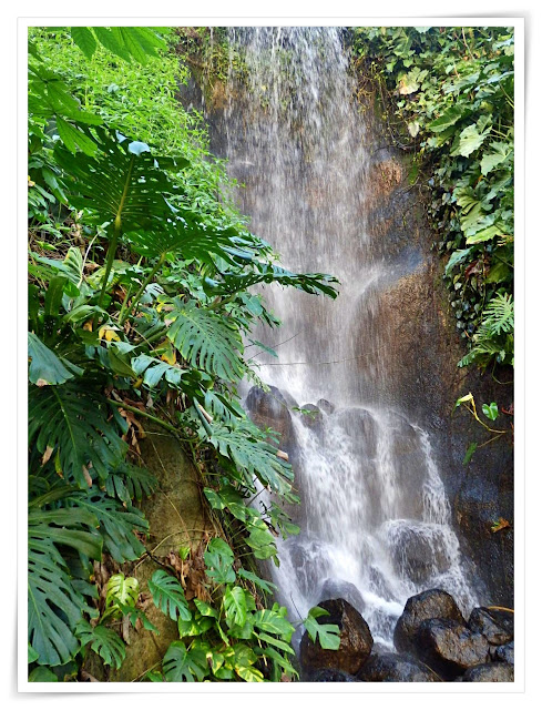 Waterfall at Cornwall's Eden Project