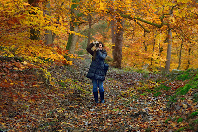 Stage photo forêt de Fontainebleau