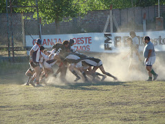 pumanque rc -- quemu quemu santa isabel 2008