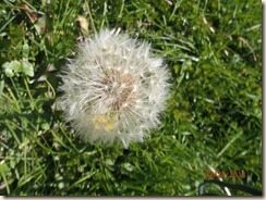 P3250290