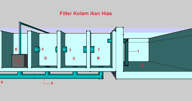 Membuat Sendiri Filter Kolam Ikan Hias Desain Rumah 