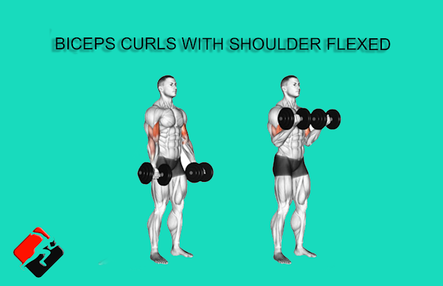 THE BICEPS CURLS WITH SHOULDER FLEXED