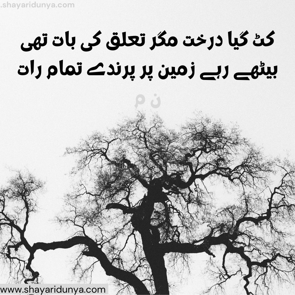 Top darakht Shayari |darakht Poetry | shayari on trees in urdu | shayari on trees in urdu | Tree Shayari Urdu