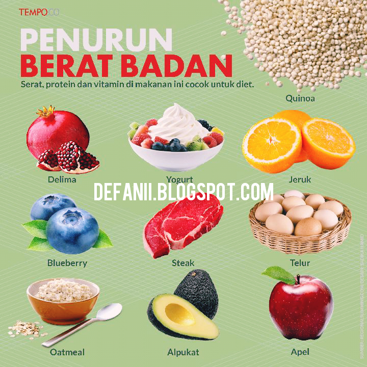 Tips Pola Makan Sehat Defani Blog