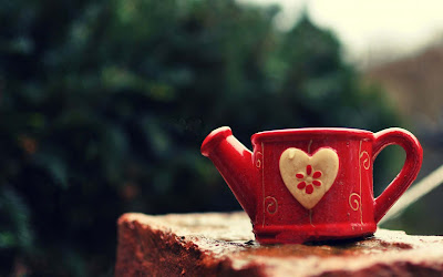mug-watering-can-cup-heart