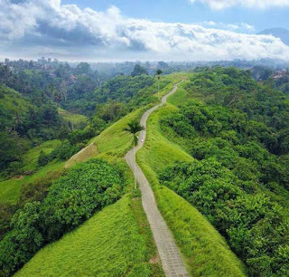 Trek Bukit Campuhan Ubud, pesona Ubud Bali, Hotel Bukit Campuhan Ubud