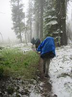 Snow in Hetch Hetchy