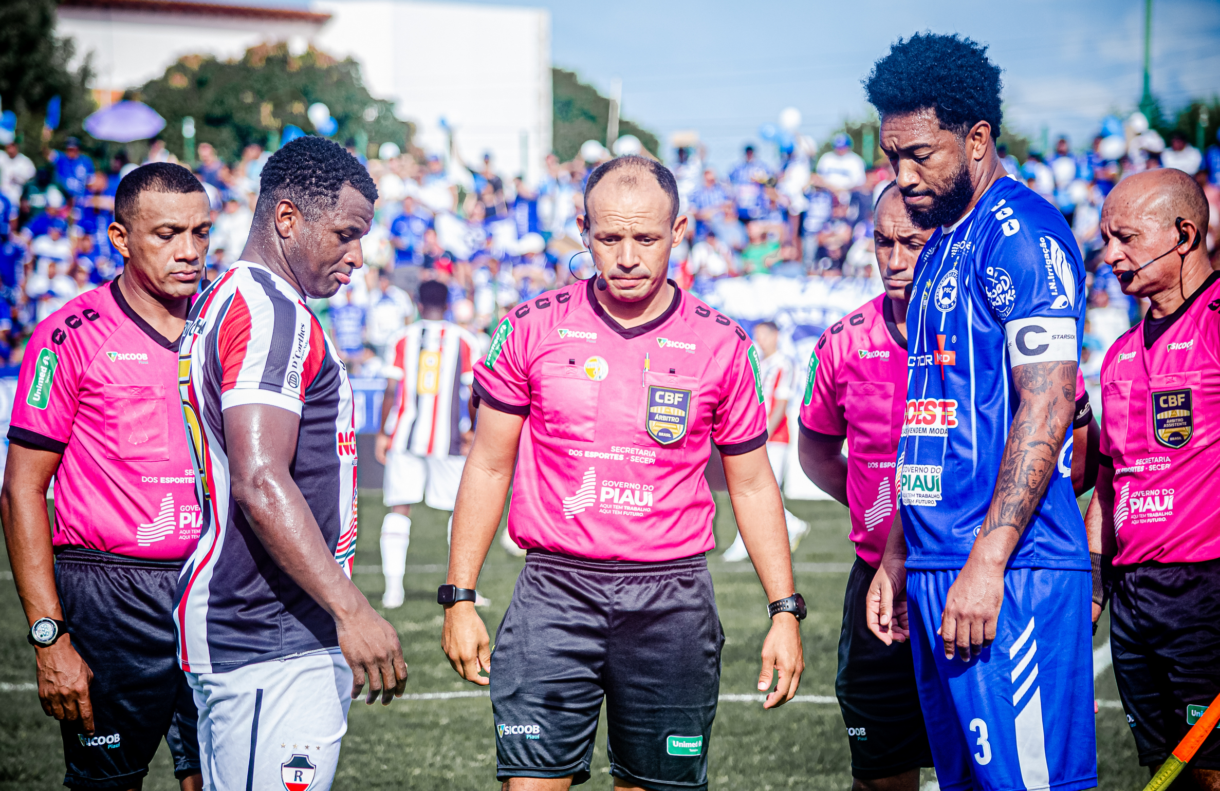 Tubarão Vs Galo