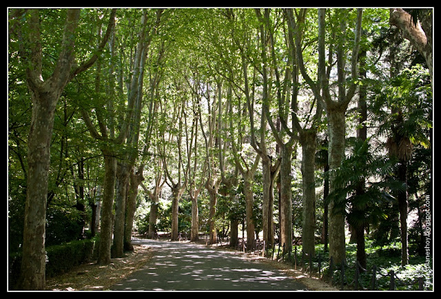 Campo del Moro