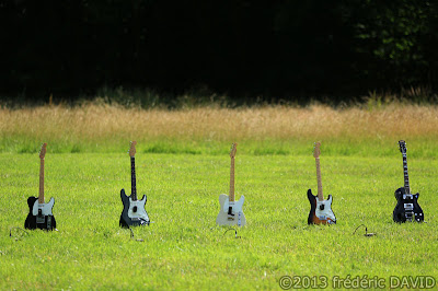 spectacle danse contemporaine Alexandre Meyer guitare Central Park Chamarande Essonne